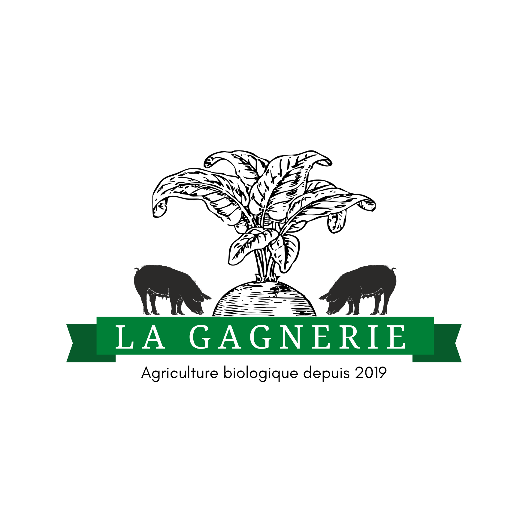 Logo Thomas LECOMTE